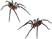 Spindlar information